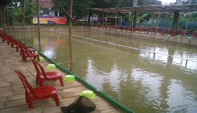 5 Cara Mengolah Budidaya Pemancingan Nila