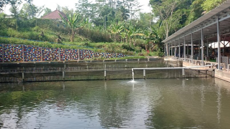 4 Wisata Resto Pemancingan Nila Paling Murah Di Tangerang